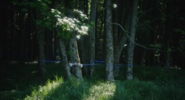 Background Films